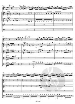 Flötenkonzert G-Dur QV 5:174 von Johann Joachim Quantz 