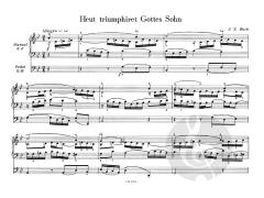 Orgel-Brevier von Louis Dite im Alle Noten Shop kaufen