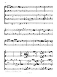 Orgelkonzert Nr. 15 d-moll HWV 304 von Georg Friedrich Händel 