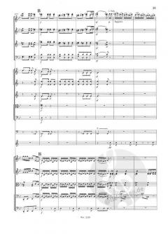 Symphonie Nr. 1 B-Dur op. 38 von Robert Schumann 