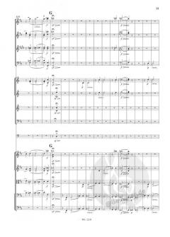 Symphonie Nr. 1 B-Dur op. 38 von Robert Schumann 