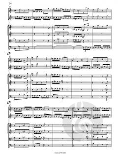Konzert in d-Moll nach BWV 1060 (J.S. Bach) 