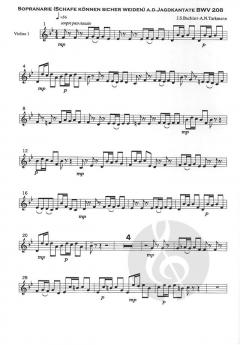 Schafe können sicher weiden BWV 203 von Johann Sebastian Bach 