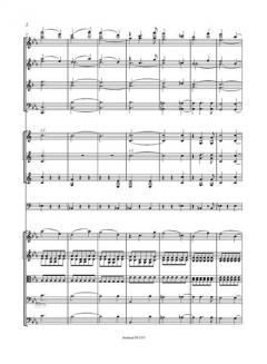 Symphonie Nr. 3 Es-Dur op. 97 von Robert Schumann 