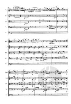 Streichquartett f-moll op. 95 von Ludwig van Beethoven 