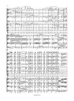 Symphonie Nr. 3 Es-Dur op. 55 