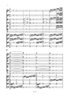 Symphonie Nr. 7 A-Dur op. 92 von Ludwig van Beethoven 