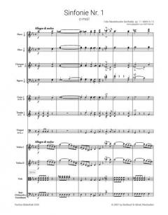 Sinfonie Nr. 1 c-moll op. 11 von Felix Mendelssohn Bartholdy 