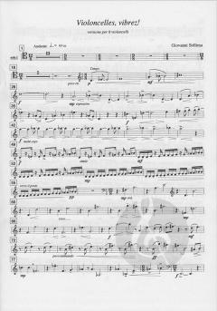 Violoncelles, Vibrez! (1999) von Giovanni Sollima im Alle Noten Shop kaufen (Partitur)