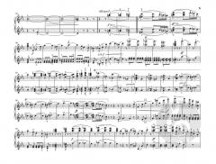 Symphonien Nr. 1 und 2 von Johannes Brahms 