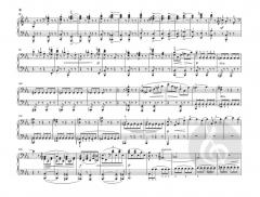 Symphonien Nr. 1 und 2 von Johannes Brahms 