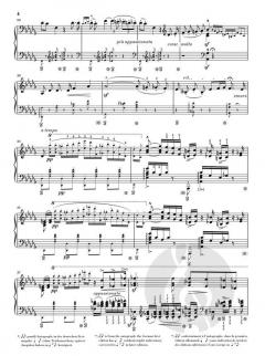 Rigoletto von Franz Liszt 