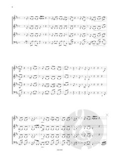 Epigramme Band 2 (Nr. 11-20) von Jaime M. Zenamon 