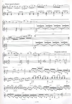 Reflexoes No. 3 von Jaime M. Zenamon 