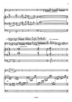 11 Pochettes von Norbert Leclercq 