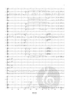 Schritt für Schritt von Igor Rekhin 