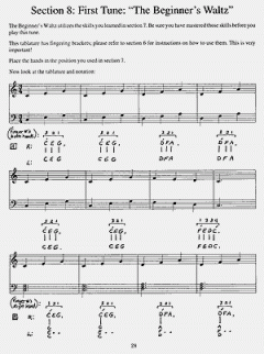 Basic Harp For Beginners von Laurie Riley 