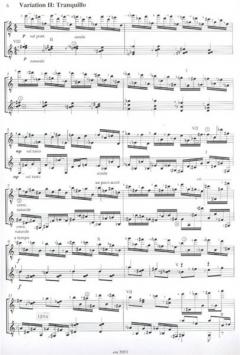 Thema mit Variationen von Lorenz Schmidt 