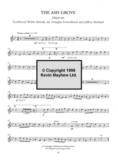 A Celtic Top Ten For Violin im Alle Noten Shop kaufen