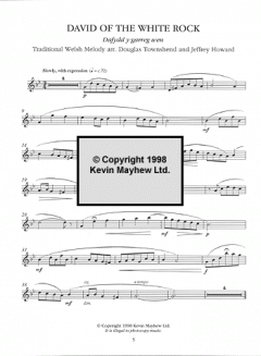 A Celtic Top Ten For Violin im Alle Noten Shop kaufen