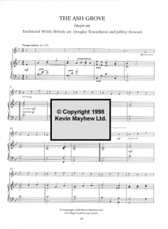 A Celtic Top Ten For Violin im Alle Noten Shop kaufen