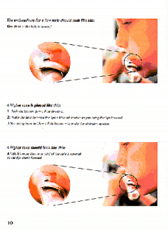 AMA Flute 2000 von Robert Winn 