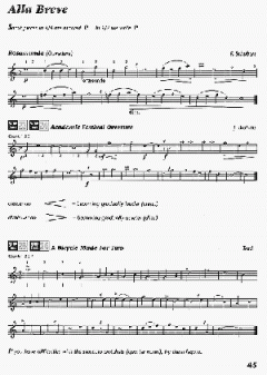 AMA Flute 2000 von Robert Winn 