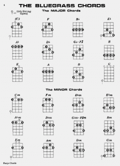 Banjo Chords von Mel Bay im Alle Noten Shop kaufen