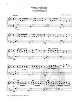 Tastenträume: Imagination von Anne Terzibaschitsch 