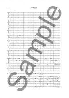 Shoalhaven for Larger Orchestra von David Lumsdaine im Alle Noten Shop kaufen (Partitur)