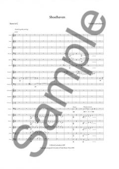 Shoalhaven for Smaller Orchestra von David Lumsdaine im Alle Noten Shop kaufen (Partitur)