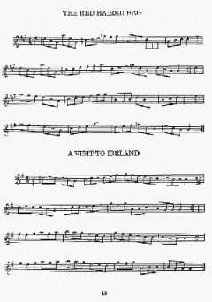 The Irish Flute von R. Holtmann 