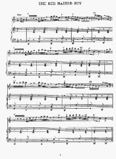 The Irish Flute von R. Holtmann 