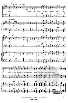 In einer düster entleg'nen Straße (Giuseppe Verdi) 