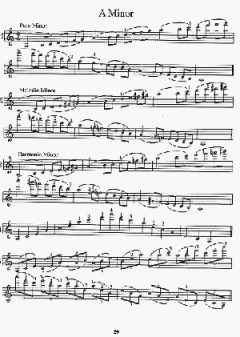 Essential Scales And Studies For Violin von Craig Duncan im Alle Noten Shop kaufen