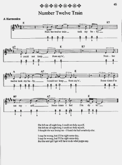 The Backpacker's Songbook von Jerry Silverman 