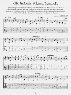 Celtic Guitar Encyclopedia von Glenn Weiser 