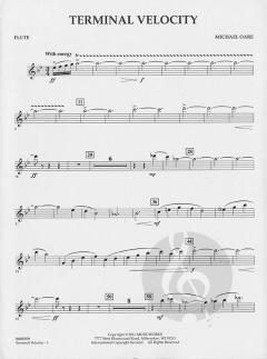 Terminal Velocity von Michael Oare (Download) 