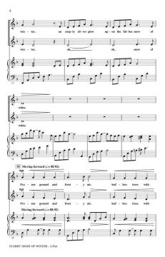 Starry Night Of Winter von Laura Farnell 