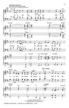 Stephen Schwartz - A Musical Celebration (Stephen L. Schwartz) 