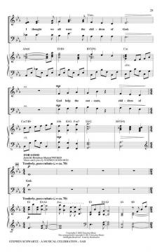 Stephen Schwartz - A Musical Celebration (Stephen L. Schwartz) 