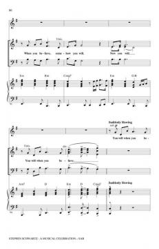 Stephen Schwartz - A Musical Celebration (Stephen L. Schwartz) 
