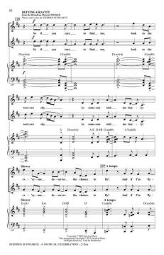 Stephen Schwartz - A Musical Celebration (Stephen L. Schwartz) 