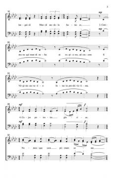 Creator Alme Siderum (Richard Burchard) 