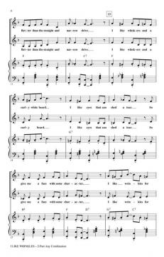 I Like Wrinkles (Will Schmid) 