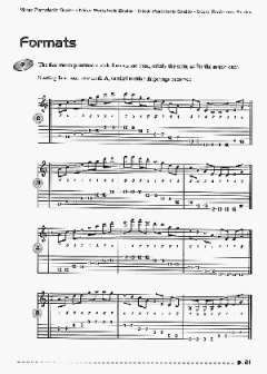 The Guitar Scales Vol. 1 von Philippe Ganter 