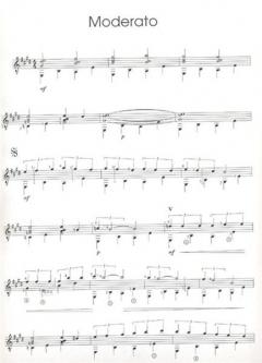 Mohnblütenblätter von Dietmar Ungerank 