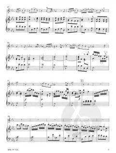 Concerto in E Flat Major von Jan Neruda 