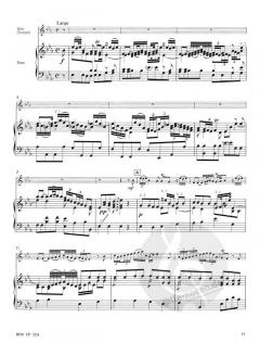 Concerto in E Flat Major von Jan Neruda 