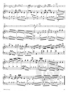 Concerto in E Flat Major von Jan Neruda 